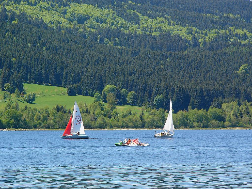 Ferienwohnungen Sternenthal Menzenschwand-Hinterdorf Esterno foto