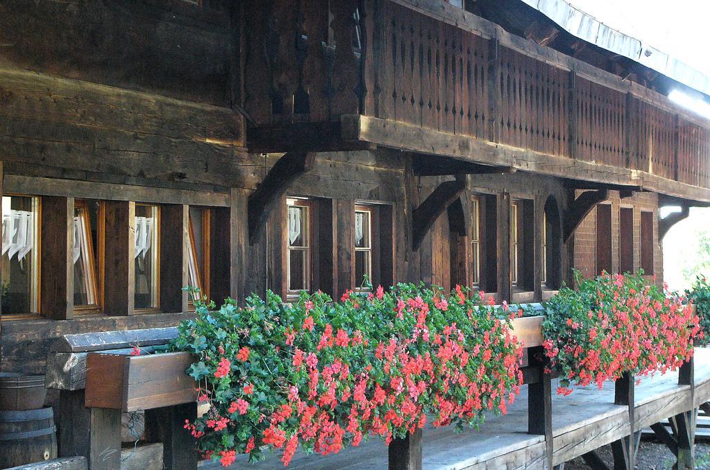 Ferienwohnungen Sternenthal Menzenschwand-Hinterdorf Esterno foto