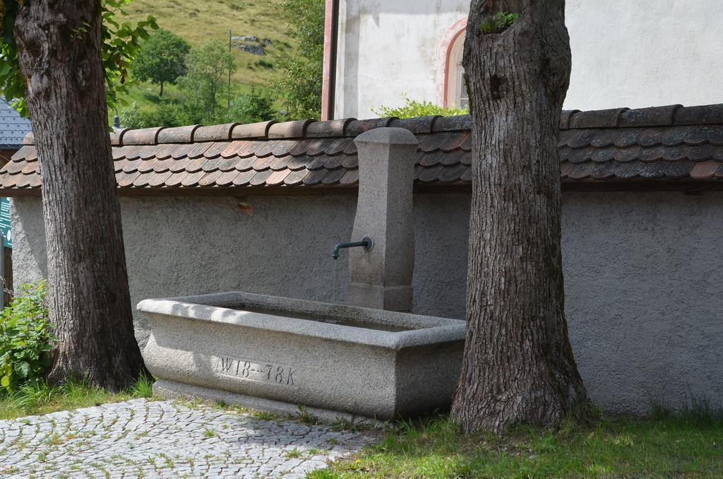 Ferienwohnungen Sternenthal Menzenschwand-Hinterdorf Esterno foto