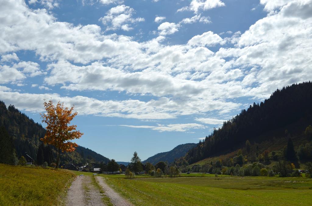Ferienwohnungen Sternenthal Menzenschwand-Hinterdorf Esterno foto
