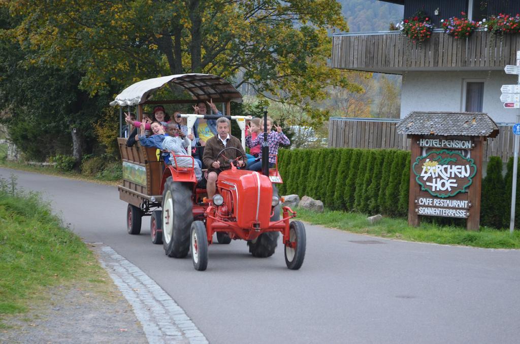 Ferienwohnungen Sternenthal Menzenschwand-Hinterdorf Esterno foto