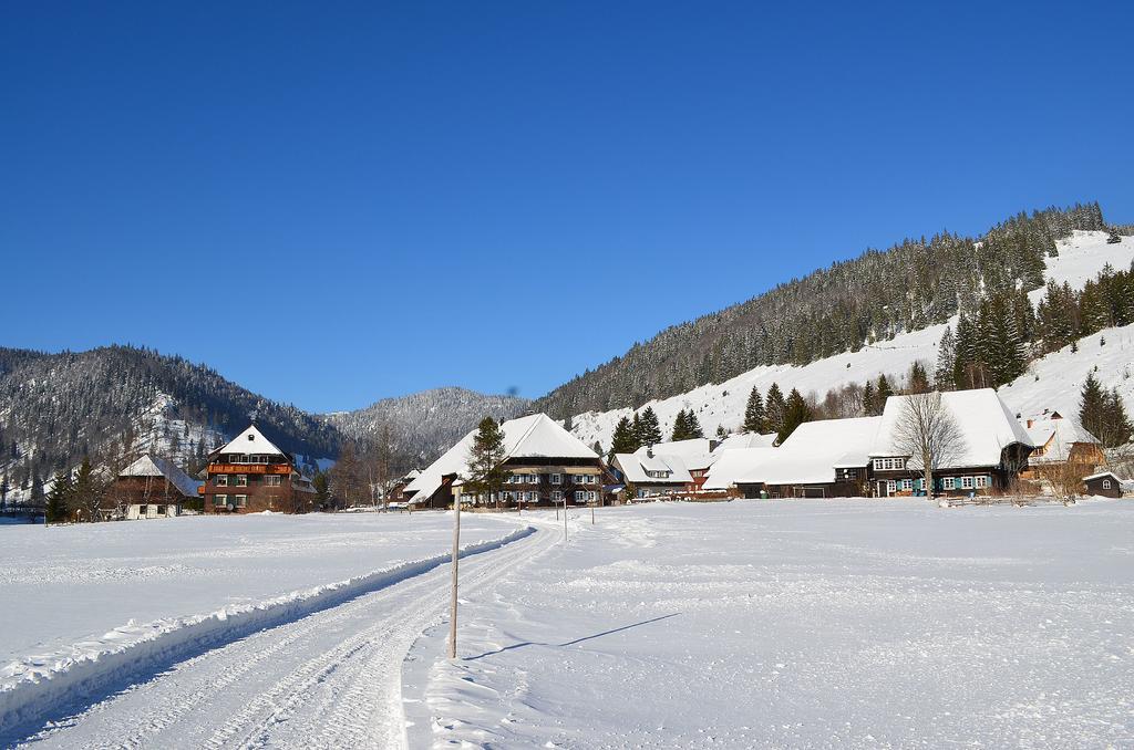 Ferienwohnungen Sternenthal Menzenschwand-Hinterdorf Esterno foto