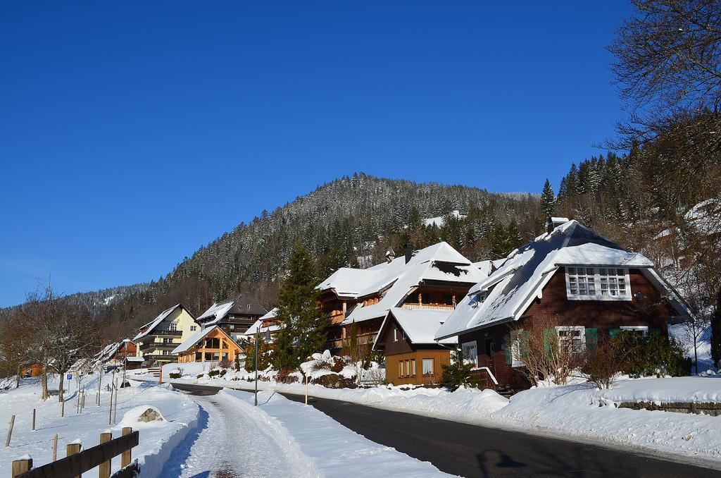 Ferienwohnungen Sternenthal Menzenschwand-Hinterdorf Esterno foto